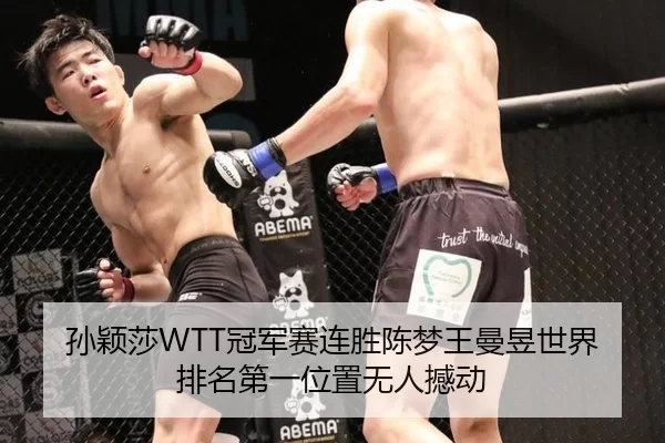 sun-ying-sha-guan-jun-sai-lian-sheng-chen-meng-wang-man-yu-shi-jie-pai-ming-di-yi-wei-zhi-wu-ren-han-dong-3-298.jpg