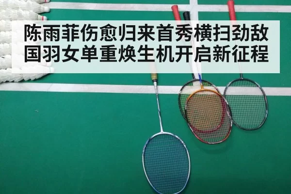 badminton court match
